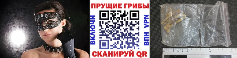Псилоцибиновые грибы мицелий купить наркоту Сельцо
