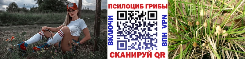 Галлюциногенные грибы прущие грибы Сельцо